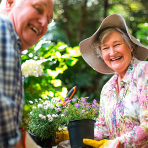 Zwei Senioren beim grtnern